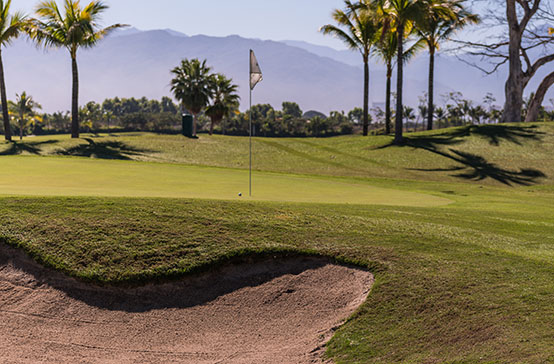 Nuevo Nayarit - Golf - Campo Nayar