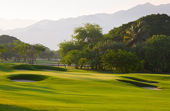 Nuevo Nayarit - Norman Signature