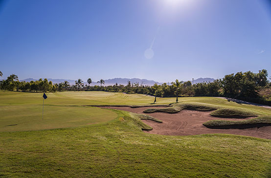 Nuevo Nayarit - Actividades